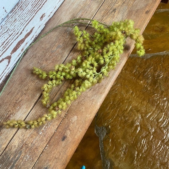 Anthropologie Terrain Trailing Succulent Spray - Picture 5 of 7